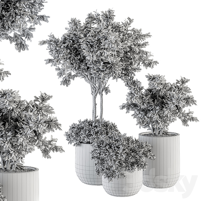 Outdoor Plant Set 198 – Plant and Tree in Pot 3DS Max Model - thumbnail 5