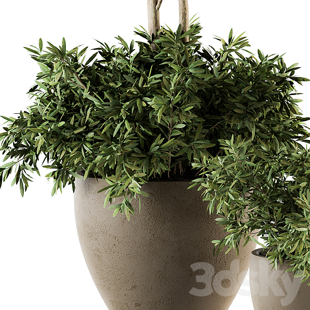 Outdoor Plant Set 203 – Plant and Tree in Pot 3DSMax File - thumbnail 3