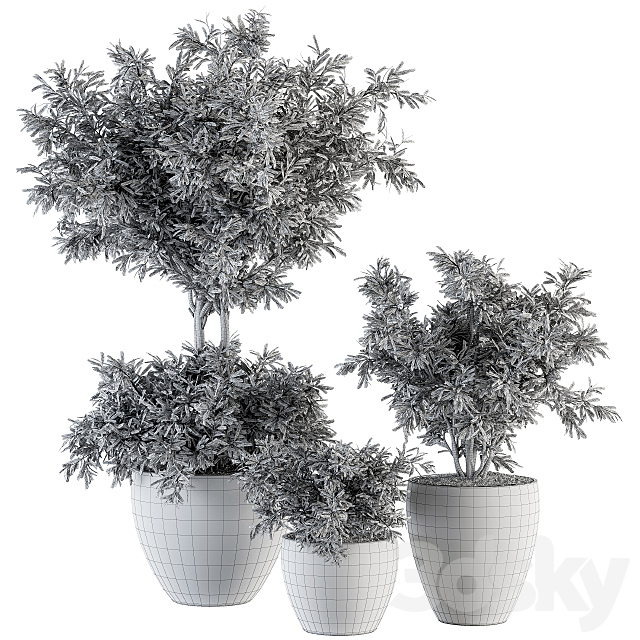 Outdoor Plant Set 203 – Plant and Tree in Pot 3DSMax File - thumbnail 5