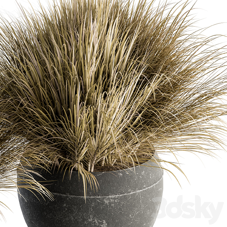 Outdoor Plant Set 204 – Dried Grass in Pot 3DS Max - thumbnail 2