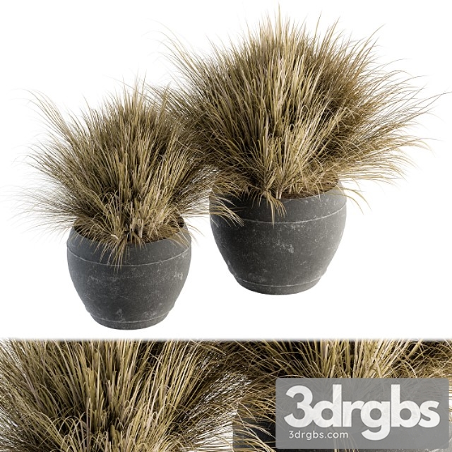 Outdoor plant set 204 – dried grass in pot - thumbnail 1