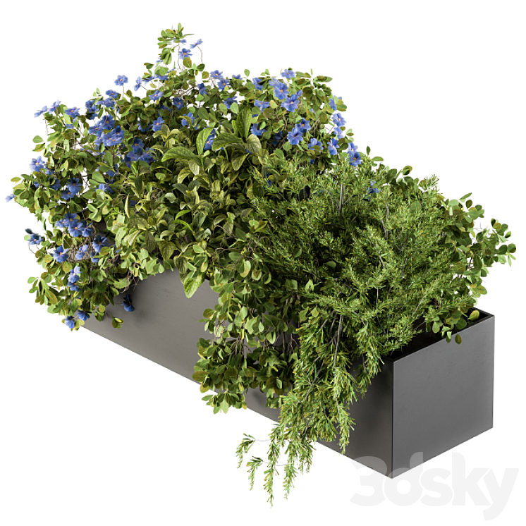 Outdoor Plant Set 208 – Plant Box Blue Flower 3DS Max - thumbnail 1