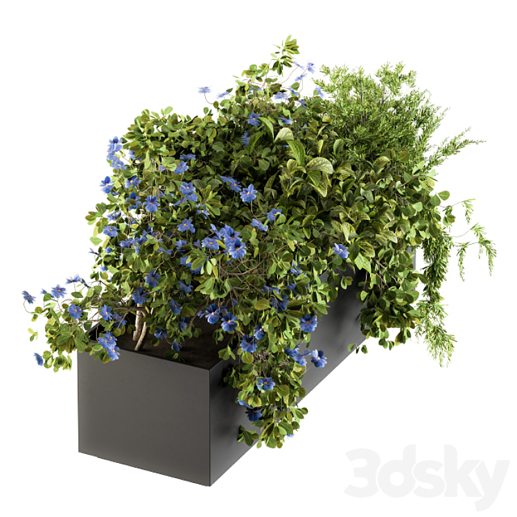 Outdoor Plant Set 208 – Plant Box Blue Flower 3DS Max - thumbnail 2