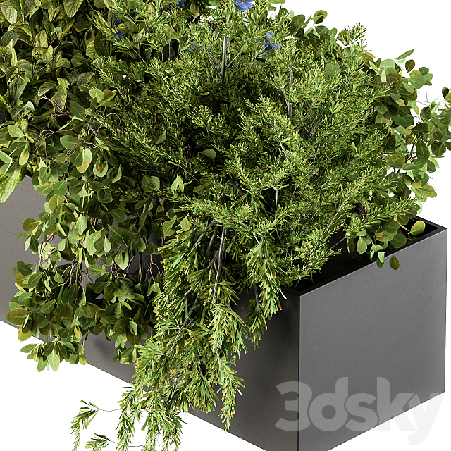 Outdoor Plant Set 208 – Plant Box Blue Flower 3DSMax File - thumbnail 4