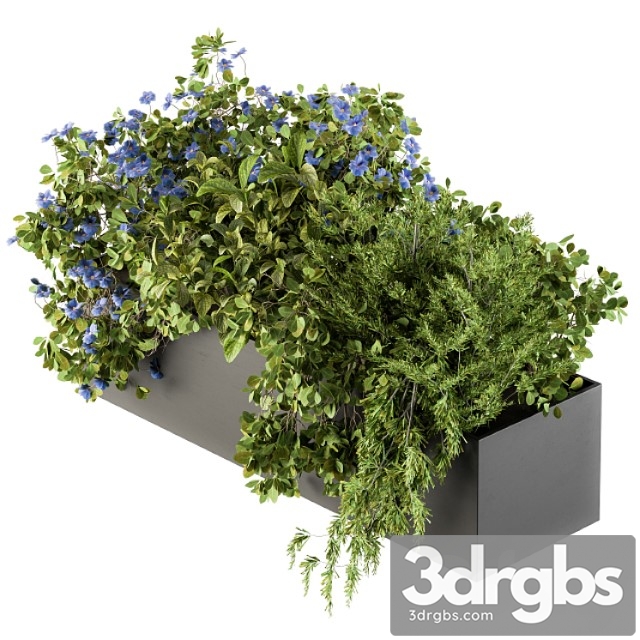 Outdoor plant set 208 – plant box blue flower - thumbnail 1