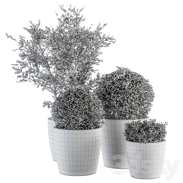 Outdoor Plant Set 209 – Plant and Tree in Pot 3DSMax File - thumbnail 4