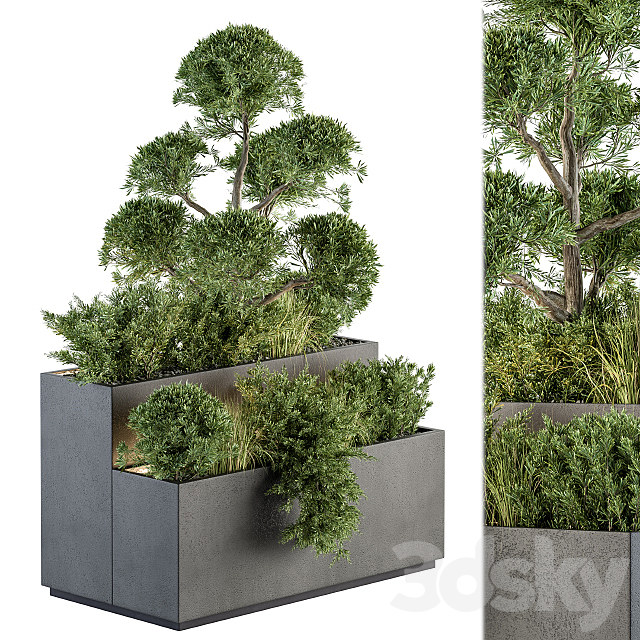 Outdoor Plant Set 214 – Plant Box 3DS Max Model - thumbnail 2