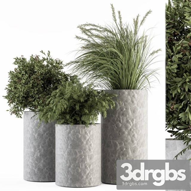 Outdoor Plant Set 22 3dsmax Download - thumbnail 1