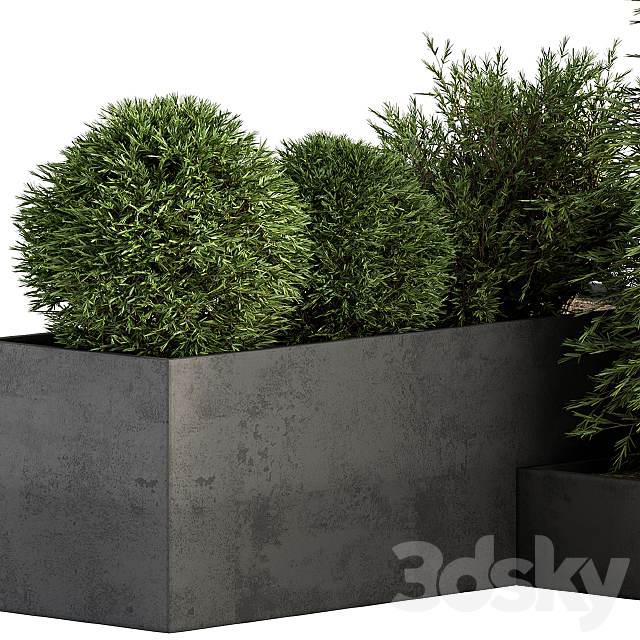 Outdoor Plant Set 231 – Plant Box with Tree 3DS Max Model - thumbnail 3