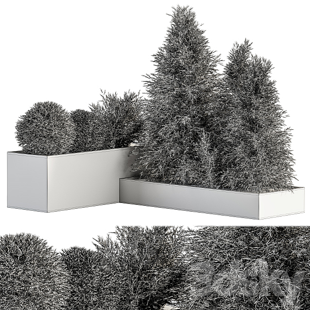 Outdoor Plant Set 231 – Plant Box with Tree 3DS Max Model - thumbnail 4