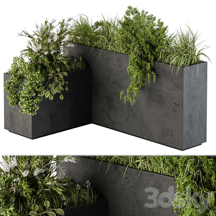 Outdoor Plant Set 248 – Plant L Type Box 3DS Max - thumbnail 1