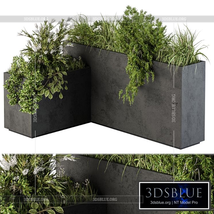 Outdoor Plant Set 248 – Plant L Type Box 3DS Max - thumbnail 3