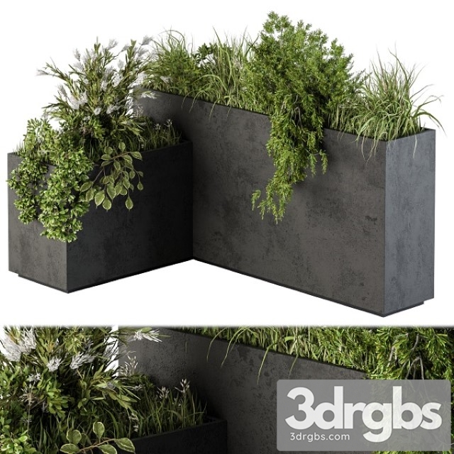 Outdoor Plant Set 248 Plant L Type Box 3dsmax Download - thumbnail 1