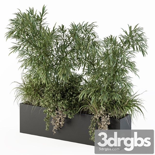 Outdoor plant set 252 – plant box with bamboo tree - thumbnail 1