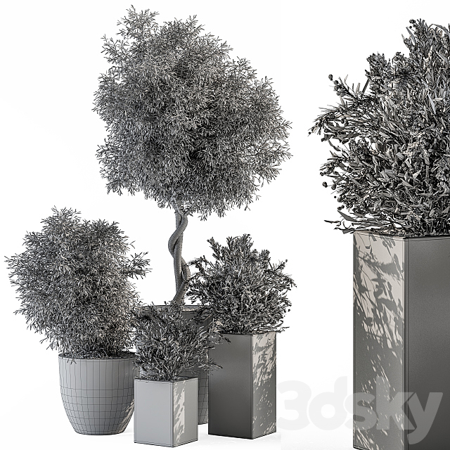 Outdoor Plant Set 273 – Plant Set in Concrete Pot 3DS Max Model - thumbnail 3