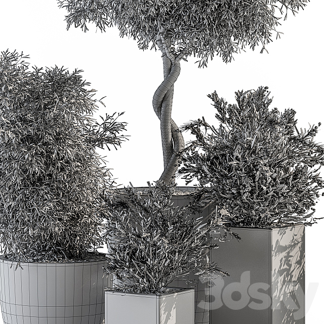 Outdoor Plant Set 273 – Plant Set in Concrete Pot 3DS Max Model - thumbnail 4