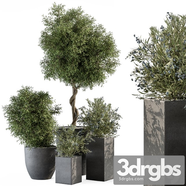 Outdoor Plant Set 273 Plant Set in Concrete Pot 3dsmax Download - thumbnail 1