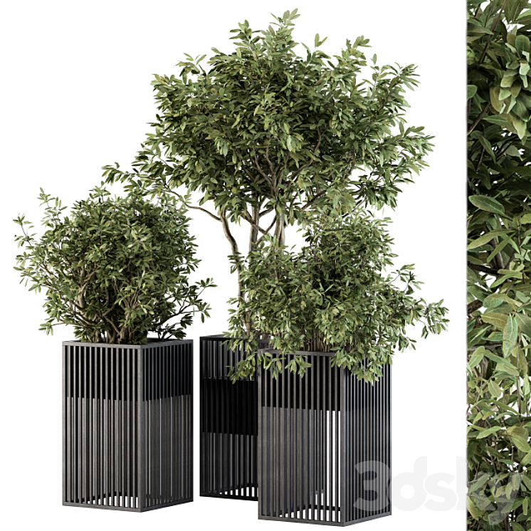 Outdoor Plant Set 276 – Plant Set in Metal Pot 3DS Max Model - thumbnail 1
