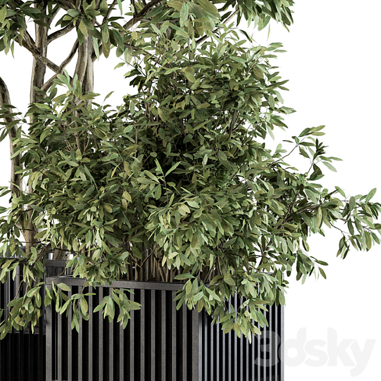Outdoor Plant Set 276 – Plant Set in Metal Pot 3DS Max Model - thumbnail 2