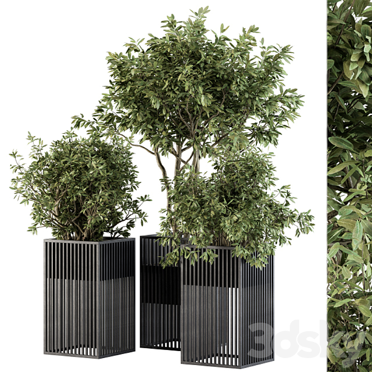 Outdoor Plant Set 276 – Plant Set in Metal Pot 3DS Max - thumbnail 1