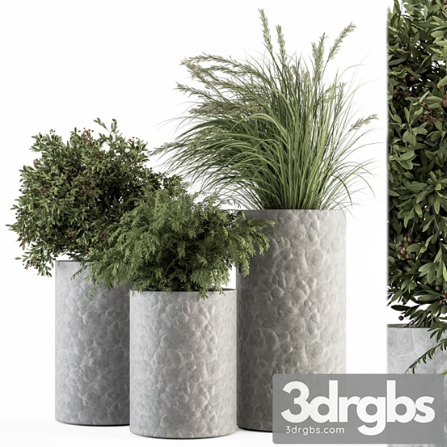 Outdoor Plant Set 287 Plant Set In Concrete Pot 3dsmax Download - thumbnail 1