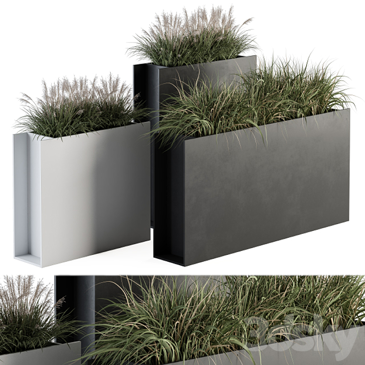 Outdoor Plant Set 288 – Grass in Plant Box 3DS Max Model - thumbnail 1