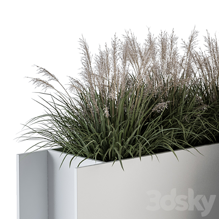 Outdoor Plant Set 288 – Grass in Plant Box 3DS Max Model - thumbnail 2