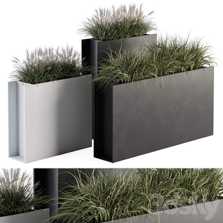 Outdoor Plant Set 288 – Grass in Plant Box 3DS Max - thumbnail 1