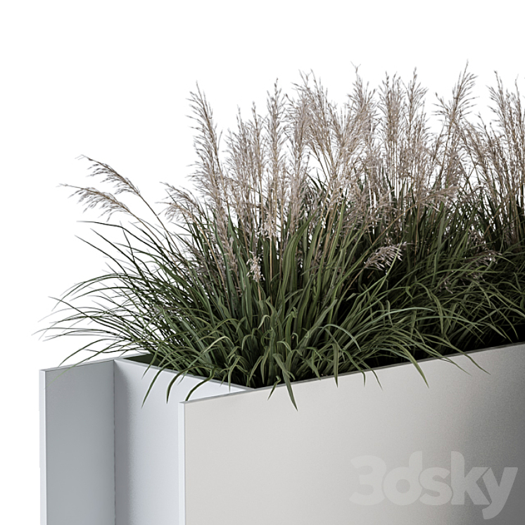 Outdoor Plant Set 288 – Grass in Plant Box 3DS Max - thumbnail 2