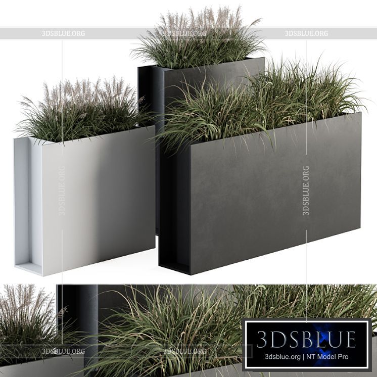 Outdoor Plant Set 288 – Grass in Plant Box 3DS Max - thumbnail 3