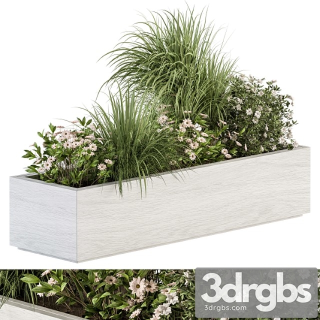 Outdoor Plant Set 290 Plant Box 3dsmax Download - thumbnail 1