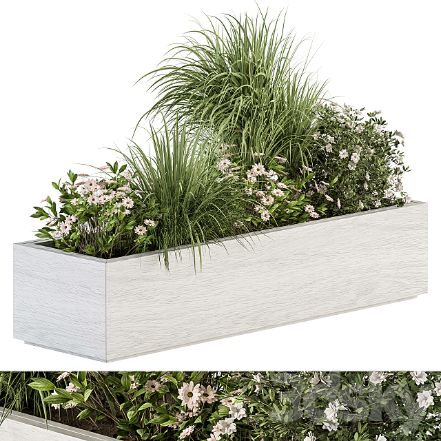 Outdoor Plant Set 290 – Plant Box 3DSMax File - thumbnail 1