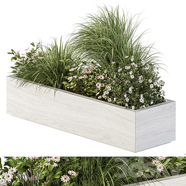 Outdoor Plant Set 290 – Plant Box 3DSMax File - thumbnail 2