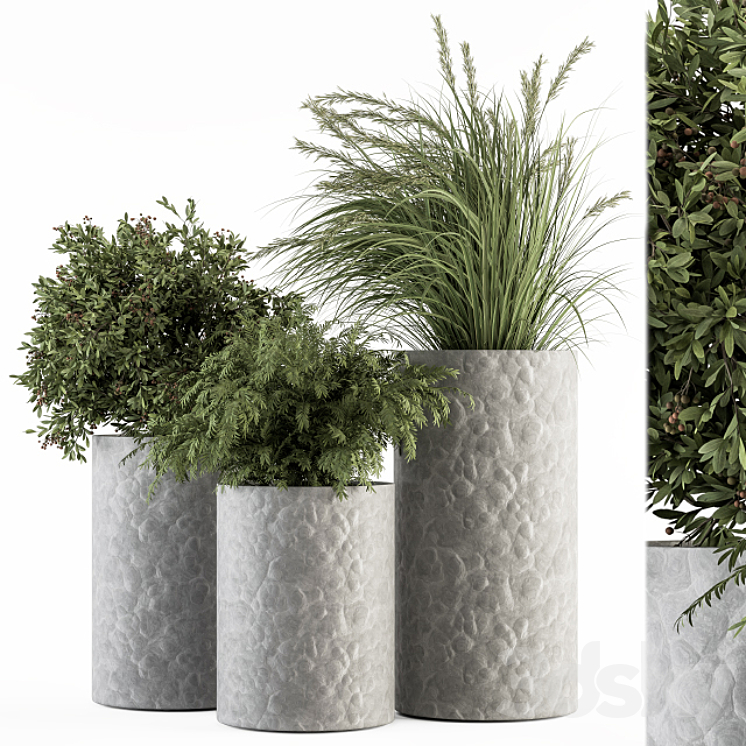 Outdoor Plant Set 292 – Plant Set in Concrete Pot 3DS Max Model - thumbnail 3