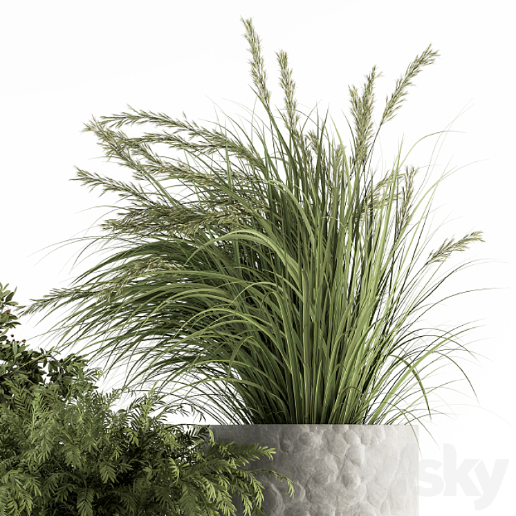 Outdoor Plant Set 292 – Plant Set in Concrete Pot 3DS Max - thumbnail 2