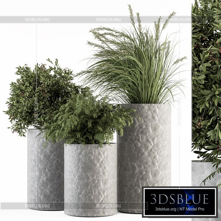 Outdoor Plant Set 292 – Plant Set in Concrete Pot 3DS Max - thumbnail 3