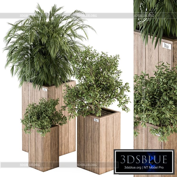 Outdoor Plant Set 297 – Wooden Plant Box 3DS Max - thumbnail 3