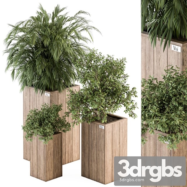 Outdoor plant set 297 – wooden plant box - thumbnail 1