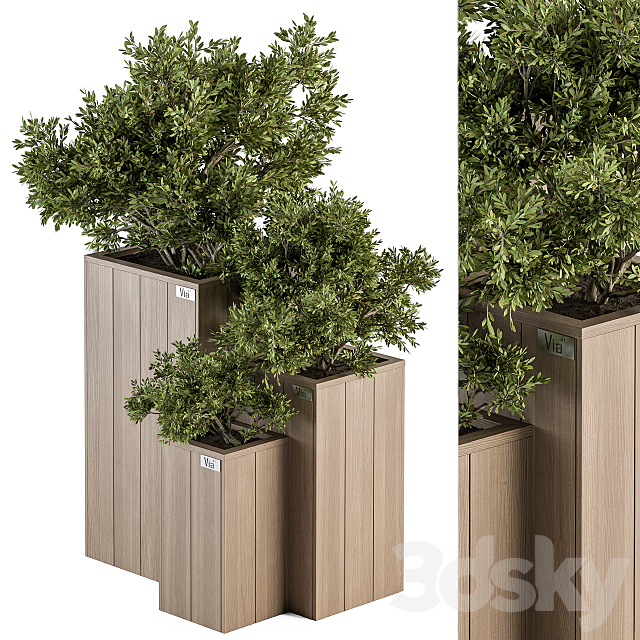 Outdoor Plant Set 298 – Wooden Plant Box 3DSMax File - thumbnail 1