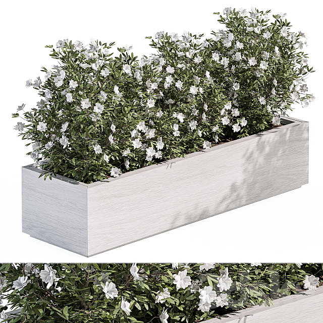 Outdoor Plant Set 304 – Plant Box 3ds Max - thumbnail 1