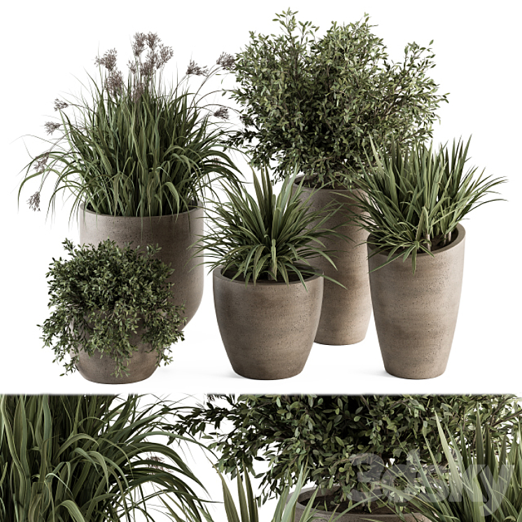 Outdoor Plant Set 311 – Yuka and Bush Set in Concrete Pot 3DS Max - thumbnail 1