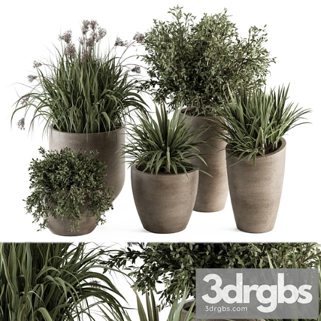 Outdoor Plant Set 311 Yuka And Bush Set In Concrete Pot 3dsmax Download - thumbnail 1