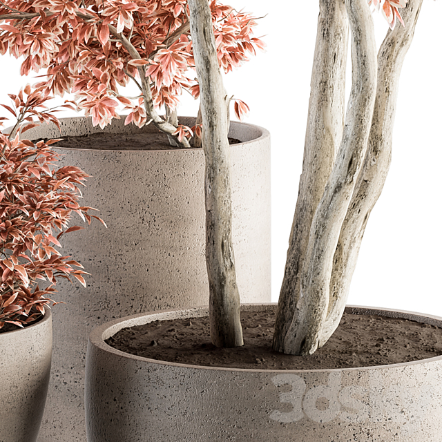 Outdoor Plant Set 359 – Pink Plant Set in Concrete Pot 3DSMax File - thumbnail 3