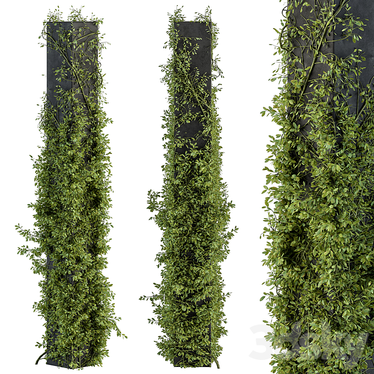 Outdoor Plant Set 394 – ivy on Column 3DS Max Model - thumbnail 3