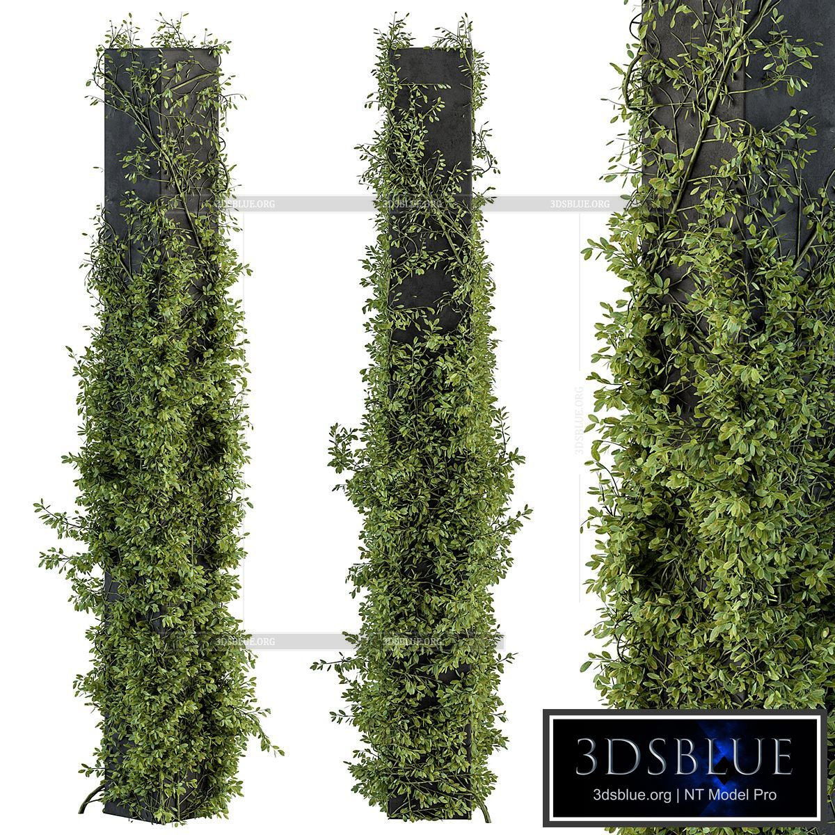 Outdoor Plant Set 394 – ivy on Column 3DS Max - thumbnail 3