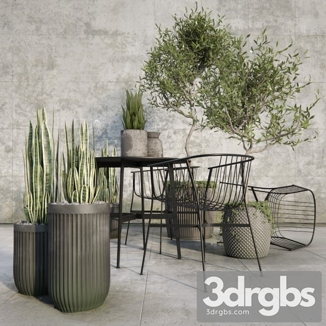 Outdoor Plant Set 3dsmax Download - thumbnail 1