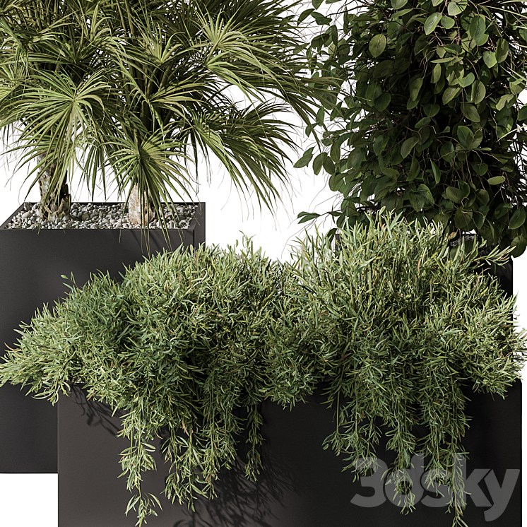 Outdoor Plant Set 402 – Plant Set in Plant Box 3DS Max - thumbnail 2