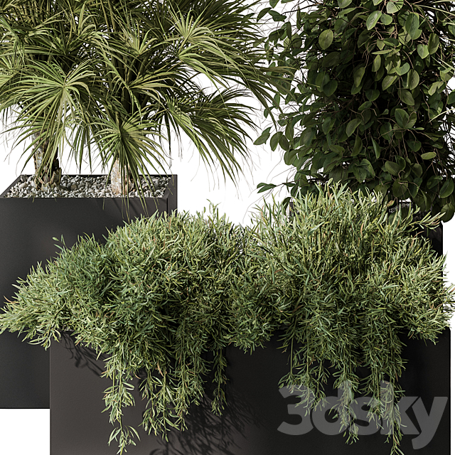 Outdoor Plant Set 402 – Plant Set in Plant Box 3DSMax File - thumbnail 2