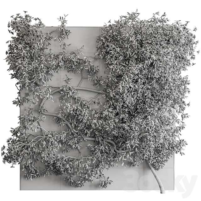 Outdoor Plant Set 426- Ivy on Wall 3DS Max Model - thumbnail 4