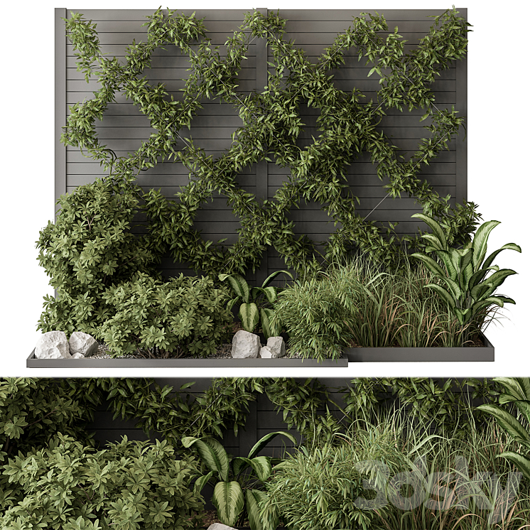 Outdoor Plant Set 429- Ivy on Wall 3DS Max - thumbnail 1